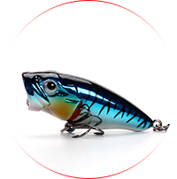 XIN-V -Find Popper Bait Bass Jigs From Xin-v Fishing Lures-14